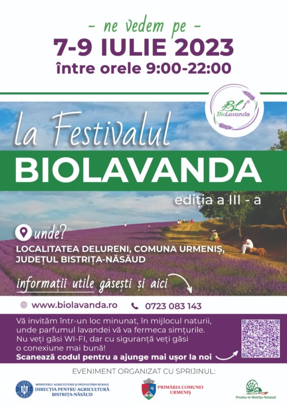 festival